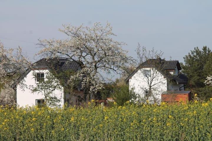 Domek W Bialej - Mak Marcinowice Luaran gambar